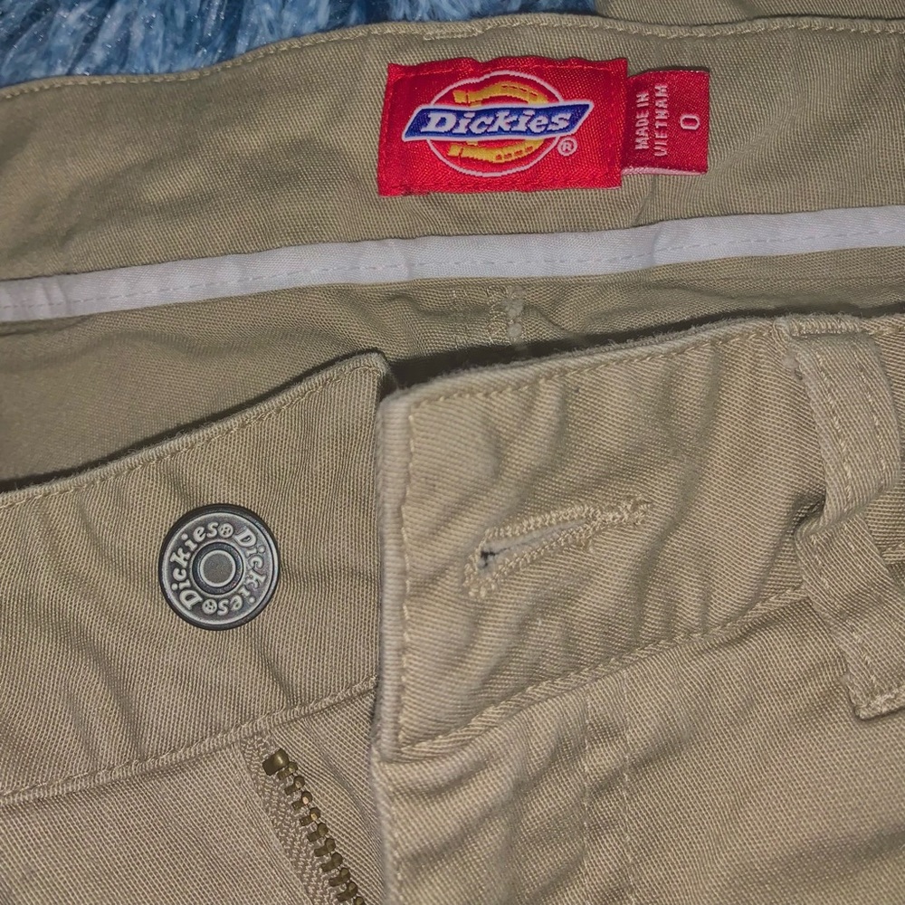 Dickies Skinny Fit Skinny Leg Pants